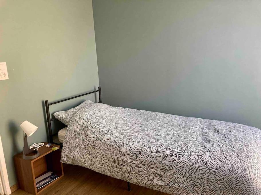 Quai Sud - Gare, 100 M2, Parking, Wifi, Superette, Lave Linge Apartment Angers Ngoại thất bức ảnh